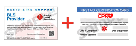 CPR and First Aid Class Henderson